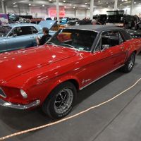 DSC_7896.jpg