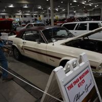 DSC_7939.jpg