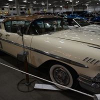DSC_7940.jpg
