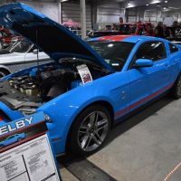 DSC_7883.jpg