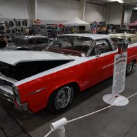 DSC_7920.jpg