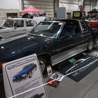 DSC_7924.jpg