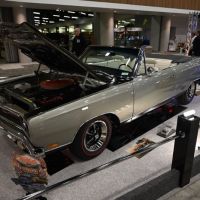 DSC_7963.jpg